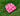 GC PINK BERRY JUMBLED BEANIE