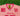 GC "PINK T" MESH JERSEY